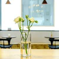 廣州踏實室內環(huán)境熱解析檢測方案